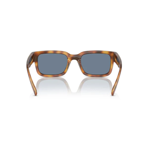 Girl x Arnette Bigflip Sunglasses Tortoise Polarised 7.png